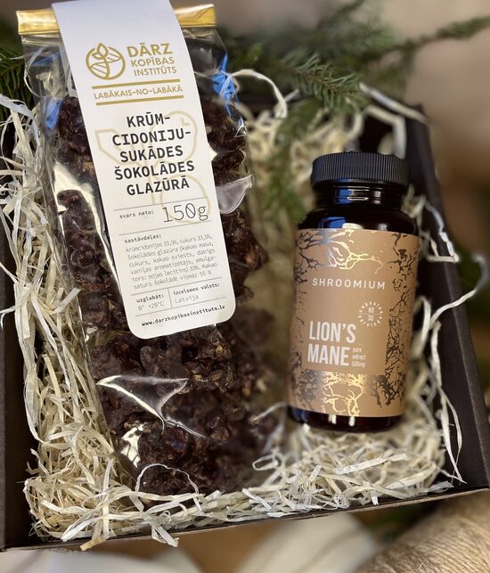 Mazais Ziemassvētku dāvanu komplekts FOKUSS